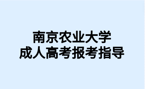 南京农业大学成人高考报名