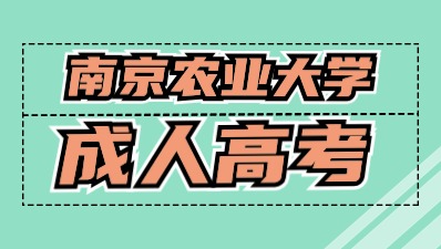 南京农业大学成人高考专升