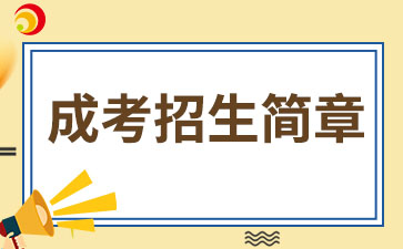 2024年南京信息职业技术学院成考招生简章